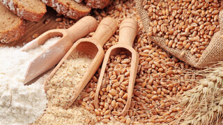 Самогон из пшеницы (холодное осахаривание)